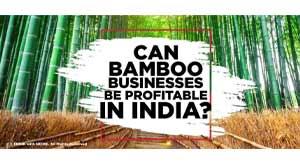 bamboo-businesses-be-profitable-in-india