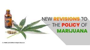 new-revisions-to-the-policy-of-marijuana