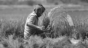 government-will-make-these-reforms-in-crop-insurance-scheme-know-details