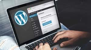 10-best-wordpress-themes-for-2021