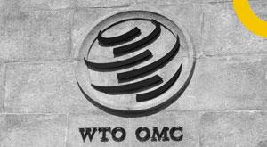 60-wto-nations-support-new-method-on-food-subsidies