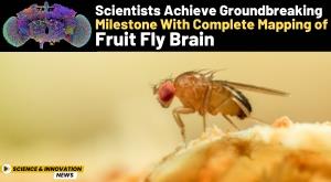 scientists-achieve-groundbreaking-milestone-with-complete-mapping-of-fruit-fly-brain