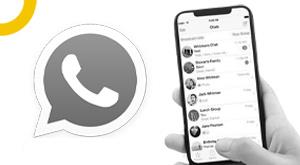 know-the-details-from-online-status-hide-to-chat-backup-in-whatsapp-update