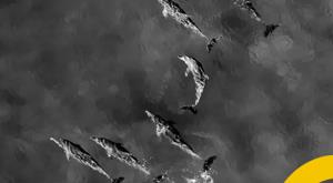 the-oceans-are-getting-warmer-every-year