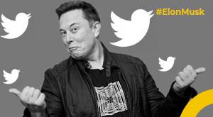 musk-hints-layoffs-at-twitter-in-future