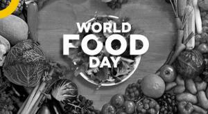 world-food-day-include-these-fruits-in-the-diet-the-risk-of-diseases-will-be-averted