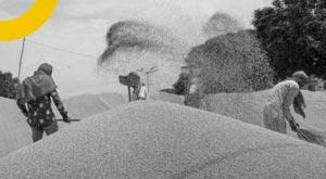 india-came-fore-in-food-crisis-that-emerged-globally