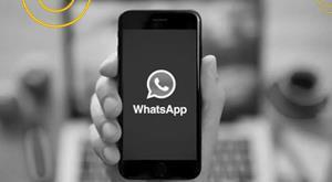 WhatsApp ने यूजर क्रिएशन के लिए नया फीचर लॉन्च किया