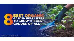 eight-best-organic-garden-fertilizers-to-grow-the-best-garden