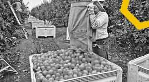 start-its-farming-there-will-be-tremendous-earning