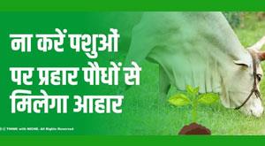 do-not-attack-animals-plants-will-get-food