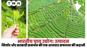 indian-tea-industry-a-success-story-of-production-export-and-government-support