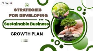 strategies-for-developing-a-sustainable-business-growth-plan