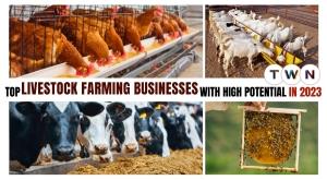 top-livestock-farming-businesses-with-high-growth-potential-in-2023