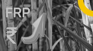 center-hikes-sugarcane-price-by-rs-15-per-quintal-farmers-will-get-this-price