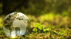 ways-to-be-an-eco-friendly-college-student