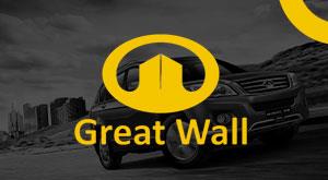 this-cheapest-car-world-will-not-launched-india-know-the-reason