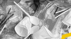 these-products-made-of-plastic-banned-in-delhi-from-day