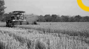 this-big-claim-was-made-in-sbi-research-regarding-the-chairmanship-of-g20