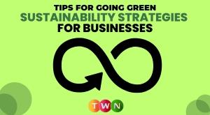 sustainability-strategies-for-businesses-tips-for-going-green