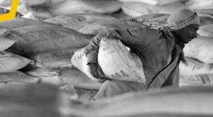 grasim-to-invest-rs-2-000-crore-over-5-years