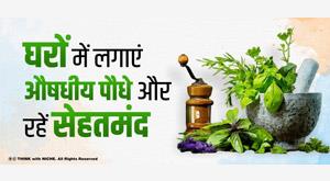 plant-medicinal-plants-in-homes-and-stay-healthy