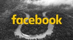facebook-will-take-action-against-unlawful-amazon-rainforest-sales