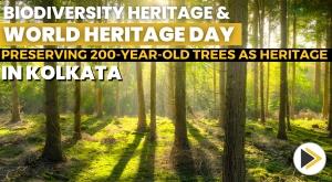 biodiversity-heritage-and-world-heritage-day-preserving-200-year-old-trees-as-heritage-in-kolkata