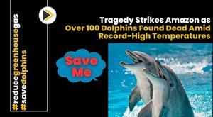 tragedy-strikes-amazon-as-over-100-dolphins-found-dead-amid-record-high-temperatures