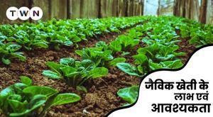 benefits-and-requirements-of-organic-farming