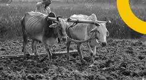 focus-on-foreign-buyers-at-the-itpo-event