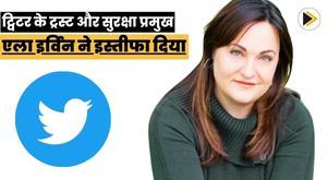 twitters-head-of-trust-and-safety-ella-irwin-resigns