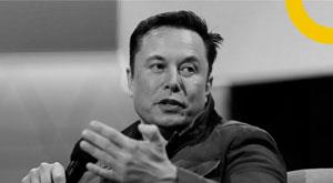 twitter-stock-rise-possible-deal-elon-musk