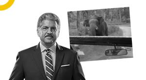 after-watching-the-viral-video-anand-mahindra-said-best-bolero-driver-in-the-world