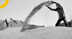 current-buffer-stock-in-india-government-stock-of-wheat-rises-11-per-cent-to-22746-lakh-tonnes