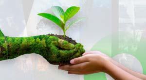 some-companies-helping-in-environmental-protection
