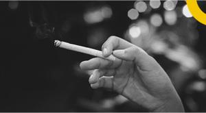 tobacco-products-also-degrades-ecosystem-integrity--who-report