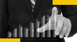 indian-economy-is-expected-to-grow-at-a-fast-pace