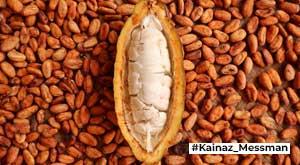 the-suess-story-behind-theobrom-you-must-know-for--business-inspirtion-tnk