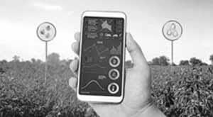 india-might-be-creating-a-super-app-for-its-farmers