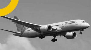 chandrasekaran-reshuffle-management-air-india