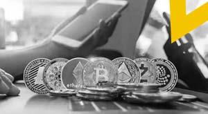 cryptocurrency-shiba-inu-up-in-price