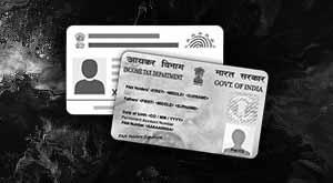 pan-card-pan-can-also-be-used-for-application-under-single-window