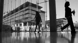 wage-gains-show-signs-of-slowing