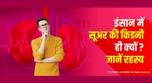 why-only-pig-kidney-in-humans-know-the-secret