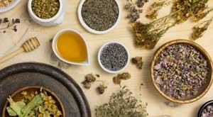 highly-profitable-demandable-medicinal-plant-to-start-farming