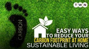 easy-ways-to-reduce-your-carbon-footprint-at-home-sustainable-living