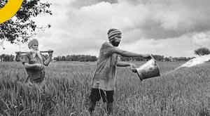 india-provide-economic-support-sri-lanka