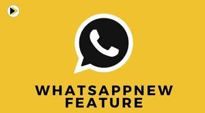 whatsapp-will-release-new-update-to-replace-phone-numbers-with-usernames-in-chat