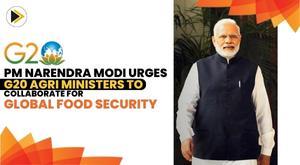 pm-narendra-modi-urges-g20-agri-ministers-to-collaborate-for-global-food-security